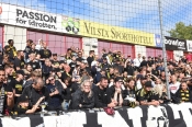 Publikbilder från AFC-AIK