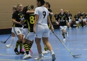 AIK - Hammarby.  2-5  (Dam)