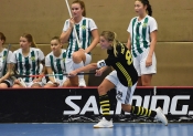 AIK - Hammarby.  2-5  (Dam)