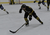 AIK - HV 71.  0-4 (Dam)