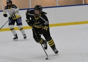 AIK - HV 71.  0-4 (Dam)