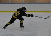 AIK - HV 71.  0-4 (Dam)