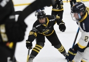 AIK - HV 71.  0-4 (Dam)