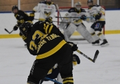 AIK - HV 71.  0-4 (Dam)