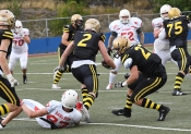 AIK - Tyresö. 38-0  (Am.fotboll)