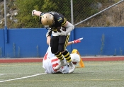 AIK - Tyresö. 38-0  (Am.fotboll)