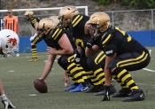 AIK - Tyresö. 38-0  (Am.fotboll)