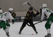 AIK - Hammarby.  11-3  (Bandy)