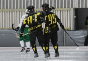 AIK - Hammarby.  11-3  (Bandy)