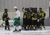 AIK - Hammarby.  11-3  (Bandy)