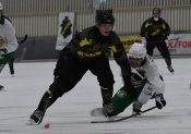 AIK - Hammarby.  11-3  (Bandy)