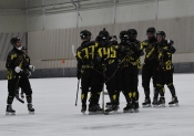 AIK - Hammarby.  11-3  (Bandy)