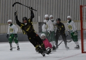 AIK - Hammarby.  11-3  (Bandy)