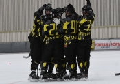 AIK - Hammarby.  11-3  (Bandy)