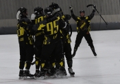 AIK - Hammarby.  11-3  (Bandy)