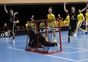 AIK - Visby.  7-5