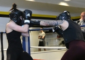 Sparring AIK-Hammarby, Damer  (Boxning)