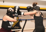 Sparring AIK-Hammarby, Damer  (Boxning)