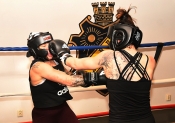 Sparring AIK-Hammarby, Damer  (Boxning)