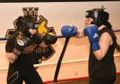 Sparring AIK-Hammarby, Damer  (Boxning)