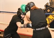 Sparring AIK-Hammarby, Damer  (Boxning)