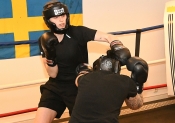 Sparring AIK-Hammarby, Damer  (Boxning)