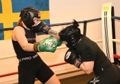 Sparring AIK-Hammarby, Damer  (Boxning)