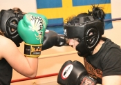 Sparring AIK-Hammarby, Damer  (Boxning)