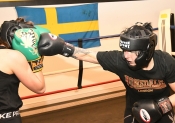 Sparring AIK-Hammarby, Damer  (Boxning)