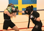 Sparring AIK-Hammarby, Damer  (Boxning)