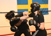 Sparring AIK-Hammarby, Damer  (Boxning)