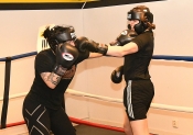 Sparring AIK-Hammarby, Damer  (Boxning)