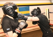 Sparring AIK-Hammarby, Damer  (Boxning)