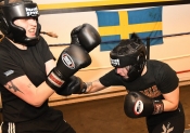 Sparring AIK-Hammarby, Damer  (Boxning)