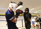 Sparring AIK-Hammarby, Herrar  (Boxning)