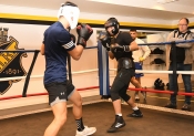 Sparring AIK-Hammarby, Herrar  (Boxning)