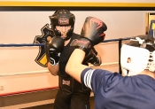 Sparring AIK-Hammarby, Herrar  (Boxning)