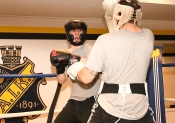 Sparring AIK-Hammarby, Herrar  (Boxning)