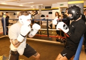 Sparring AIK-Hammarby, Herrar  (Boxning)