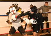 Sparring AIK-Hammarby, Herrar  (Boxning)