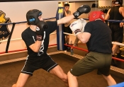 Sparring AIK-Hammarby, Herrar  (Boxning)