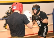 Sparring AIK-Hammarby, Herrar  (Boxning)