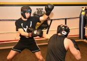 Sparring AIK-Hammarby, Herrar  (Boxning)