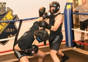 Sparring AIK-Hammarby, Herrar  (Boxning)