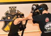 Sparring AIK-Hammarby, Herrar  (Boxning)