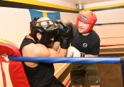 Sparring AIK-Hammarby, Herrar  (Boxning)