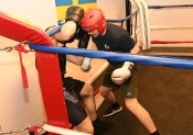 Sparring AIK-Hammarby, Herrar  (Boxning)