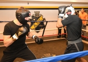 Sparring AIK-Hammarby, Herrar  (Boxning)