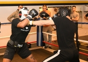 Sparring AIK-Hammarby, Herrar  (Boxning)