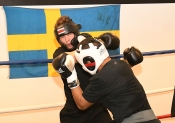 Sparring AIK-Hammarby, Herrar  (Boxning)